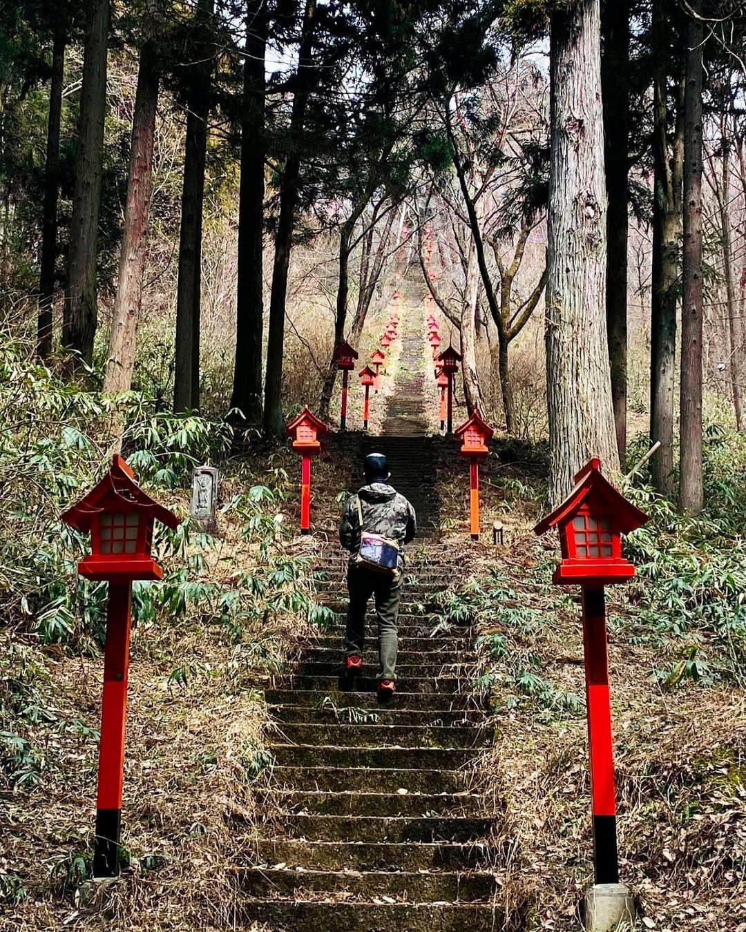 辻 よしなりさんのインスタグラム写真 - (辻 よしなりInstagram)「春スキーの雪を求めて 突発的キャンカー旅へ⤴️  季節の変わり目 雪と桜が同居している日本列島🇯🇵  まずは 安行寒桜の並木！ 3年ぶりに行けた我が家の大好きな場所🌸 か〜ら〜の 温泉♨️と雪山チェックに！と関越道を北上💨  結果、行ったスキー場の雪はシャビシャビで、我が家の腕前？足前？では後味の悪い滑り納めになっちゃうよなーと、断念！ もうスノーシューの出番も無さそうだし、これにて今シーズンのウィンタースポーツは終了と相成りました😂😂  温泉♨️よし、 手軽な低山登山もなかなかと楽しめた😍 静かな山の中の 長ーい階段に朱色の灯籠… なんとも幻想的だったなぁ。  イチも元気いっぱい楽しんでくれて⭕️  思いつきで行った割には濃ーい内容になった旅だったな👍  さーて、次はどこへ行こうか。  #キャンピングカー #キャンカー旅 #旅犬イチ  #安行寒桜 #春スキー #旅犬イチ」3月22日 1時13分 - yoshinari_tsuji