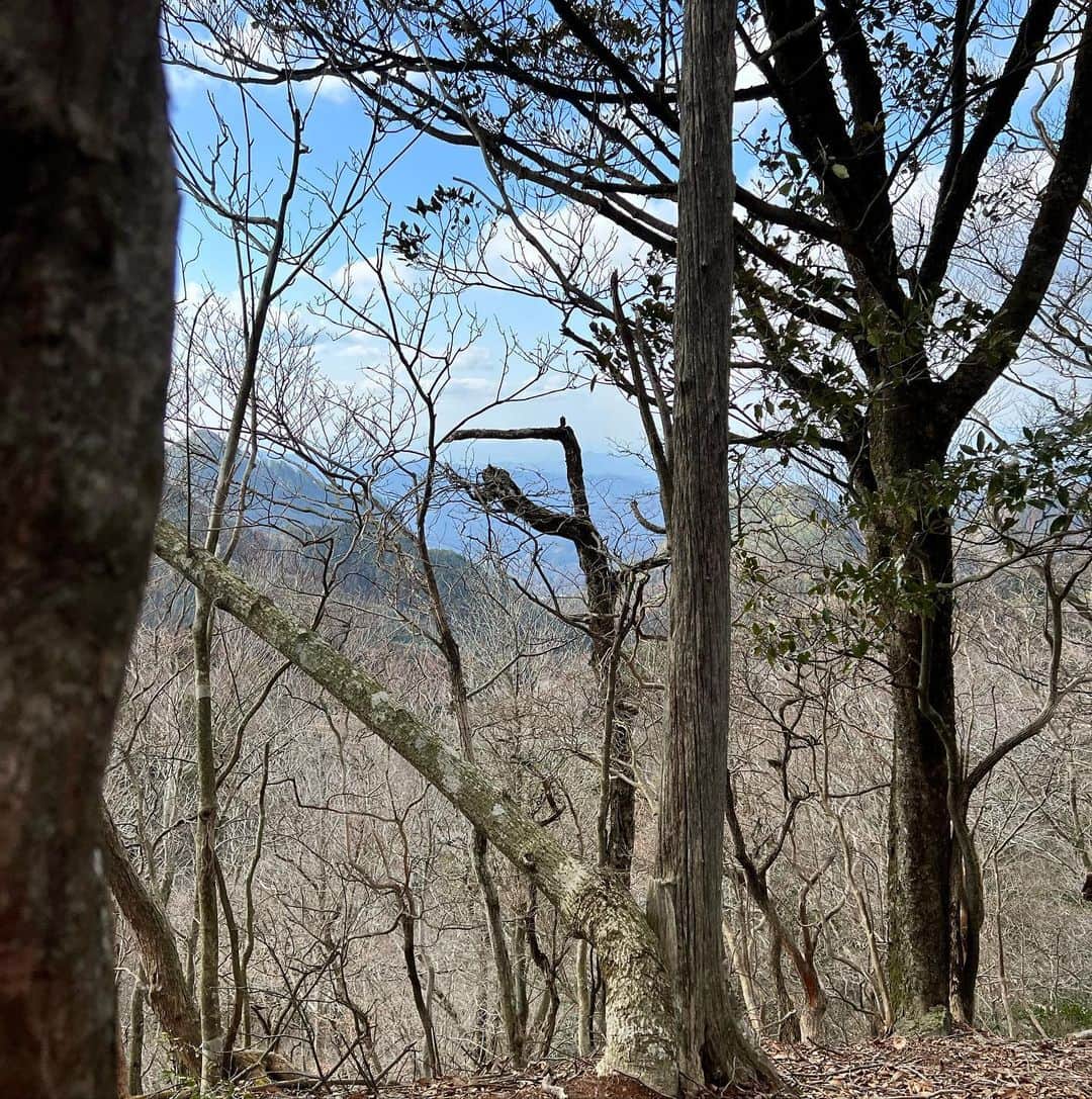 Rin音のインスタグラム：「山登ってわかることはただ一つ 坂は登れば降るって事。  だから降れば登るって事。  登山家の完成」