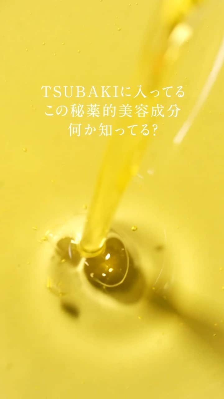 TSUBAKI（資生堂）のインスタグラム：「【💡クイズ】Q．TSUBAKIに入ってるこの秘薬的美容成分、何か知ってる？  これがTSUBAKIの艶髪の秘密なんです…！ 知ってた方は「✨」の絵文字で教えてくださいね✨  ――――――――――――――― 「椿オイルのチカラ」については 3月16日の投稿をcheck！ 👉 @tsubaki_jp ―――――――――――――――  #TSUBAKI #ヘアケア #おすすめシャンプー  #モテ髪 #最新コスメ #椿オイル #オイル #テクスチャー #ASMR #asmrsounds  #音フェチ #音を楽しむ #シャンプーマニア #シャンプー難民 #プチプラコスメ #コスメレビュー #コスメ購入品 #モテシャンプー #美容オタク #美容成分 #成分」