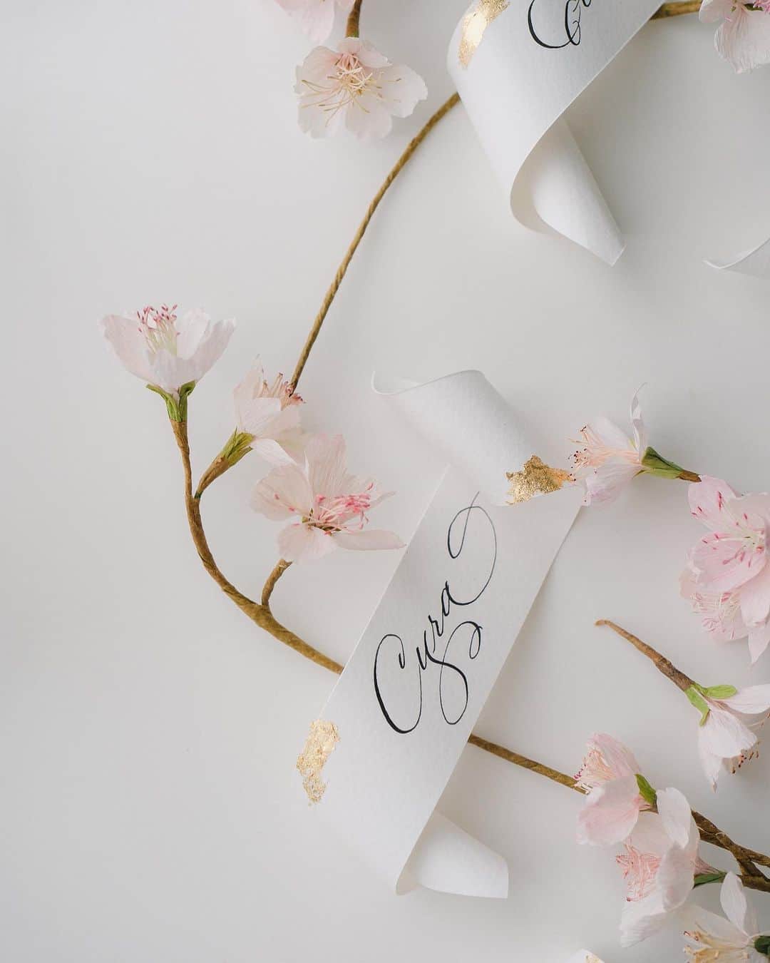 Veronica Halimさんのインスタグラム写真 - (Veronica HalimInstagram)「Just in time for the sakura season! — #calligraphy #sakura #calligraphystyling #cherryblossom #カリグラフィー　#モダンカリグラフィー　#ldvh #veronicahalim #prettyflowers #さくらいろ #🌸」3月22日 12時09分 - truffypi