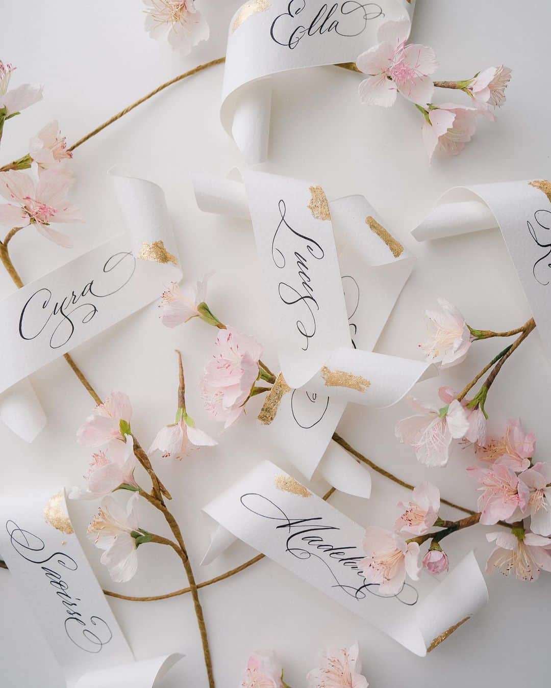 Veronica Halimさんのインスタグラム写真 - (Veronica HalimInstagram)「Just in time for the sakura season! — #calligraphy #sakura #calligraphystyling #cherryblossom #カリグラフィー　#モダンカリグラフィー　#ldvh #veronicahalim #prettyflowers #さくらいろ #🌸」3月22日 12時09分 - truffypi