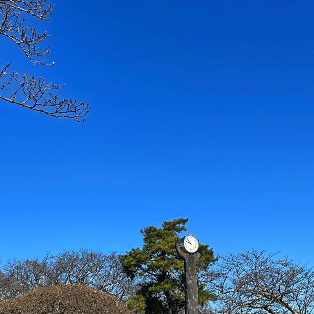 坂本澪香さんのインスタグラム写真 - (坂本澪香Instagram)「暫し電波遠めの地で撮影しておりまして更新途絶えておりました、帰還です。天気は良かったですがまだまだ寒かったです。 #まちこ巻き」3月22日 12時37分 - mxshiroxsocka_s1278