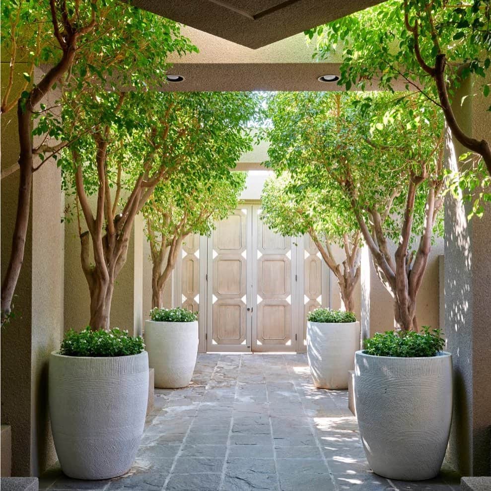 アポロジーさんのインスタグラム写真 - (アポロジーInstagram)「I am still very emotional while looking at this stunning project … thanks to @studiojacksondesign for trusting our Art and Craft, and for giving us the opportunity to be part of this very special and glamorous home. /// /// En Français … vous avez compris, non ?  Post and picture @archdigest @amyastley @rogerdaviesphotography   Video @alysoares  @carole」3月22日 4時38分 - olivia_cognet
