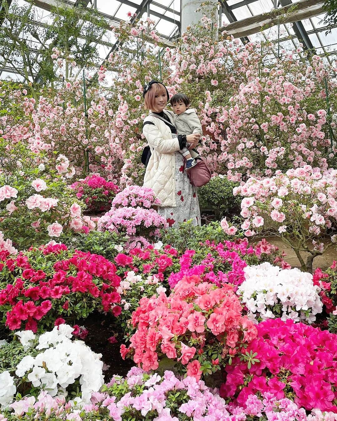 石関友梨さんのインスタグラム写真 - (石関友梨Instagram)「🌼アザレア🌼乙女になる空間😍 ⁡⁡ ⁡ぐんまフラワーパークが2年間休園になってしまうので⁡ ⁡その前に行ってきました⁡ ⁡⁡ ⁡残念ながらこの日は雨で外の花は見れなかったんだけど⁡ ⁡温室のところでは⁡こんなに美しい光景が⁡ ⁡見ることが出来ました✨⁡ ⁡⁡ ⁡アザレアとは日本のツツジを⁡ ⁡ヨーロッパで品種改良された花らしく⁡ ⁡ここでは100種類以上の種類がここにはあるんだって！⁡ ⁡⁡ ⁡この日、夜には花火の予定だったけど⁡ ⁡雨で風邪ひきそうなくらい寒くて⁡ ⁡夕方には撤収しちゃいました😅⁡ ⁡⁡ ⁡アクアリウムとかアザレアが見れただけで⁡ ⁡友だちとも大満足でした🍀⁡ ⁡⁡ ⁡2年後も楽しみにしてます🌷🌸🌺🌻⁡ ⁡⁡ ⁡#ぐんまフラワーパーク #アザレア #アクアリウム #ママ友 #子どもたちが可愛いすぎた」3月22日 8時20分 - yurimorico