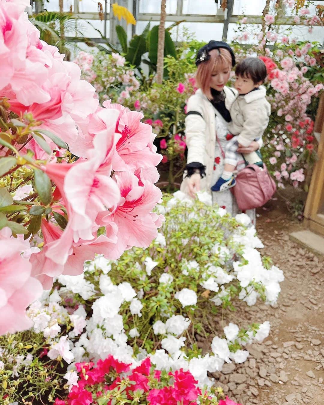 石関友梨さんのインスタグラム写真 - (石関友梨Instagram)「🌼アザレア🌼乙女になる空間😍 ⁡⁡ ⁡ぐんまフラワーパークが2年間休園になってしまうので⁡ ⁡その前に行ってきました⁡ ⁡⁡ ⁡残念ながらこの日は雨で外の花は見れなかったんだけど⁡ ⁡温室のところでは⁡こんなに美しい光景が⁡ ⁡見ることが出来ました✨⁡ ⁡⁡ ⁡アザレアとは日本のツツジを⁡ ⁡ヨーロッパで品種改良された花らしく⁡ ⁡ここでは100種類以上の種類がここにはあるんだって！⁡ ⁡⁡ ⁡この日、夜には花火の予定だったけど⁡ ⁡雨で風邪ひきそうなくらい寒くて⁡ ⁡夕方には撤収しちゃいました😅⁡ ⁡⁡ ⁡アクアリウムとかアザレアが見れただけで⁡ ⁡友だちとも大満足でした🍀⁡ ⁡⁡ ⁡2年後も楽しみにしてます🌷🌸🌺🌻⁡ ⁡⁡ ⁡#ぐんまフラワーパーク #アザレア #アクアリウム #ママ友 #子どもたちが可愛いすぎた」3月22日 8時20分 - yurimorico