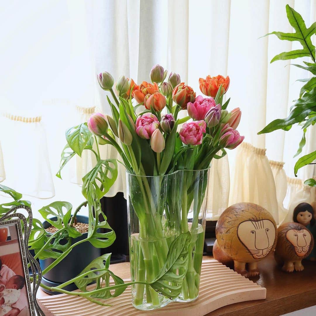 のん ◡̈*さんのインスタグラム写真 - (のん ◡̈*Instagram)「・ 例の500円モデルくん👦🏻と、センティアのチューリップで おはようございます🌷 ・ ・ 好きなお花はチューリップと紫陽花です。 この季節はお花屋さんを通るたびに どんなチューリップが入荷してるかな？って 毎回立ち寄ってしまいます☺️ みなさんはどんなお花が好きですか？ ・ ・ 今回は、いま話題のお花屋さんアプリ💐 FLOWER @flowr_is を使って、 お花の購入にチャレンジ✨してみました♪ 購入したのはやっぱりチューリップ🌷です。 ・ お花の宅配にはちょっと心配もあったけど、 届いたお花は箱から素敵でワクワク😍 開封してみると、なかなか手に入らない珍しい 品種のチューリップが4種類ミックスで、 たっぷり20本も入っていました！ これはテンションあがる〜😍 ・ 生産者さんからの直送便なので 花束はイキイキフレッシュ！！ 美しい状態を長く楽しめるよう、 硬いつぼみの状態で届けてくれたのも嬉しかったです❤️ ・ 早速水切りすると、ぐんぐん水を吸いあげて ふっくらと色づきはじめました。 これから毎日可愛らしい姿を楽しませてくれそうで楽しみです😊🌷 ・ ・ FLOWER @flowr_is は、ロスをなくすことで たっぷりのお花をお得な価格で提供する #ロスレスブーケ を販売するアプリです。 ・ アプリから好きなお花を選んで購入すると、 新鮮なお花が玄関まで届く嬉しいサービス💖  素敵な季節のブーケがたくさんあるので、 是非　@flowr_is を覗いてみてくださいね😉 ・ 参考までに、こちらセンティアのおまかせチューリップは、 税込 ¥3,630 送料無料でした🌷 ・ お花を購入される際には、 こちらの10%OFFクーポンをご利用くださいね💐 クーポンコード『 MCFL 』です♪ ・ ・ ・ さぁ、いよいよWBC決勝戦✨です。 みんなで日本を応援しましょう📣🤗 ・ ・ ・ ・ #フラワーベース #aalto #アルヴァアアルト #チューリップ #花のある暮らし #tulip #イッタラ #丁寧な暮らし #iittala #北欧 #センティア  #季節の花 #花 #花束 #花器 #colorful #son  #igersjp #onthetable #flower」3月22日 8時24分 - non_la_non