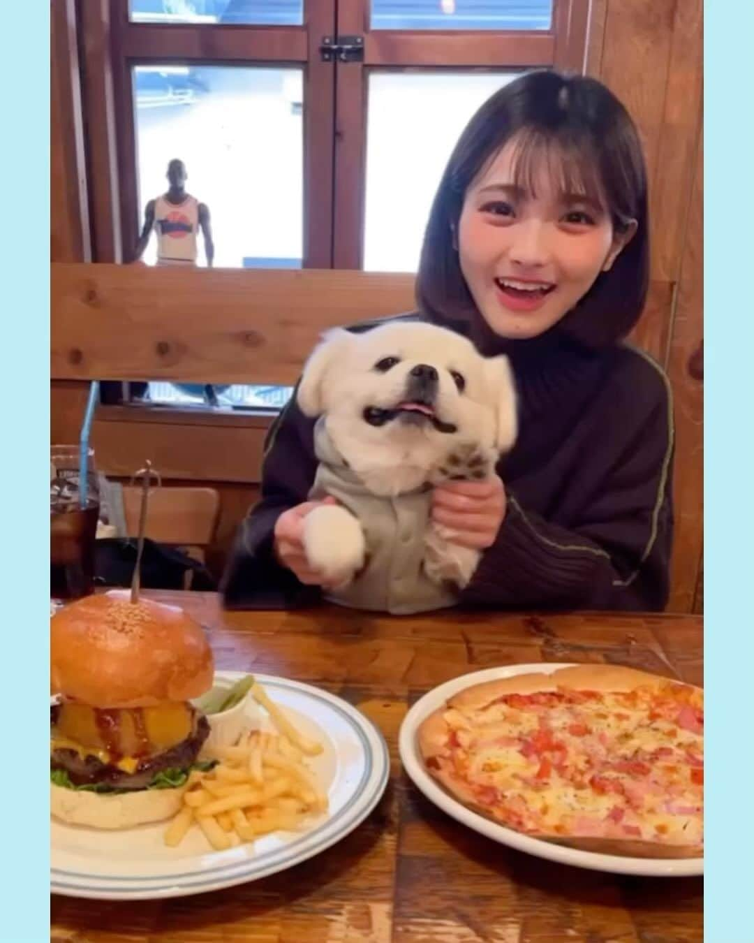 片岡沙耶のインスタグラム：「. らんたん🐶 小さく見えるけど結構おっきいらんたん🐶💕笑 家族みんなでお散歩dayでした☀️ . #ちわぺき  #犬 #ペキニーズ  #お散歩  #」