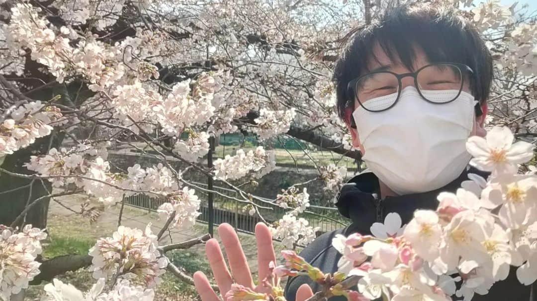 有馬徹さんのインスタグラム写真 - (有馬徹Instagram)「おはようございます。 朝散歩。桜満開寸前。幸せです。今日も皆さんの１日と日本を応援しています。  #朝散歩 #朝のルーティン」3月22日 9時48分 - inuarima