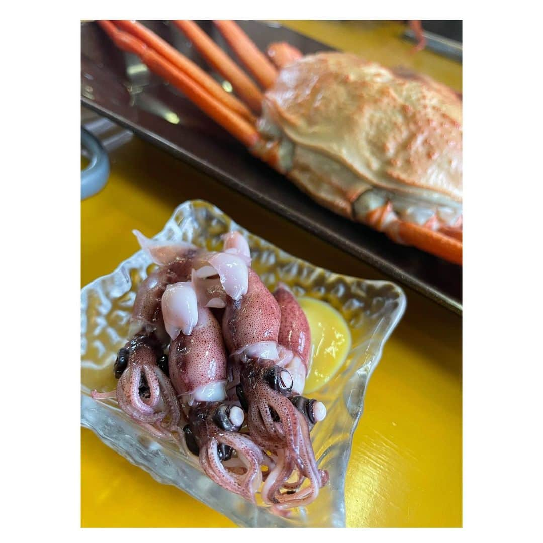 淺井咲希さんのインスタグラム写真 - (淺井咲希Instagram)「いまお寿司我慢してるけど、 蟹🦀は食べていいらしいから食べた〜！！  富山の蟹最高。美味しすぎ。 幸せすぎ。😋😋」3月22日 10時29分 - asaisakidesu