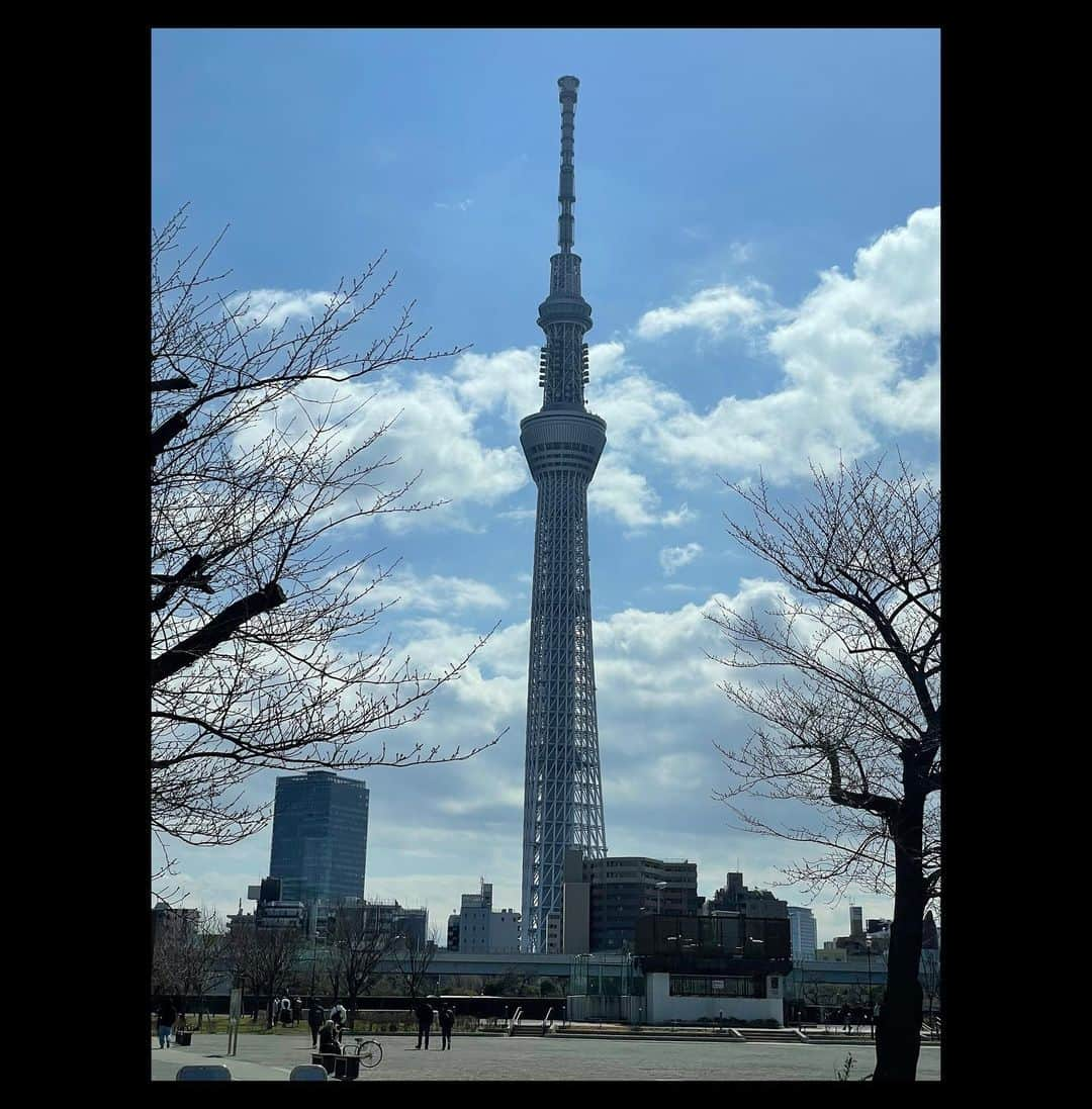 茨木菜緒さんのインスタグラム写真 - (茨木菜緒Instagram)「. オフショット思い出たち❤︎☺️🗼 . #東京 #tokyo #スカイツリー #skytree #そらまち #浅草 #雷門 #浅草寺 #仲見世通り #上野 #上野動物園 #上野恩賜公園 #美術館 #アメ横 #東京駅 #銀座 #寿司 #寿司ランチ #東京タワー #tokyotower #隅田公園 #六本木 #あまおうパフェ #資生堂パーラー #ロケ #モデル #model #撮影 #幸せ #大好き」3月22日 21時18分 - kudonao2218