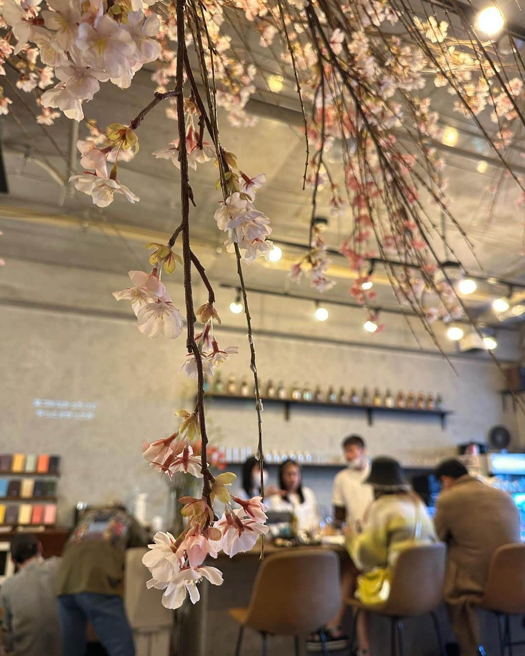 早川茉希さんのインスタグラム写真 - (早川茉希Instagram)「☕️✖️🌸  先日、目黒川沿いの桜も 見に行ってきました😆🌸  まだ咲き始めでしたが、なかなかの人😳 今は満開のようですね🌸🌸🌸  フラッと入ったお店に なんと桜が咲いていて 店内でお花見気分を味わえました😆🌸  豊富なクラフトビールも楽しめて わんちゃんOK🐶 可愛い子達がたくさんいて 癒しの空間でした😍🐕‍🦺💕  #中目黒 #中目黒カフェ #お花見カフェ #わんちゃんok #東京カフェ #クラフトビール #ラテも美味しかった #義妹とデート💓 #たくさんおしゃべりできて楽しかった #またお出かけしようね😍」3月22日 21時31分 - maki_hayakawa