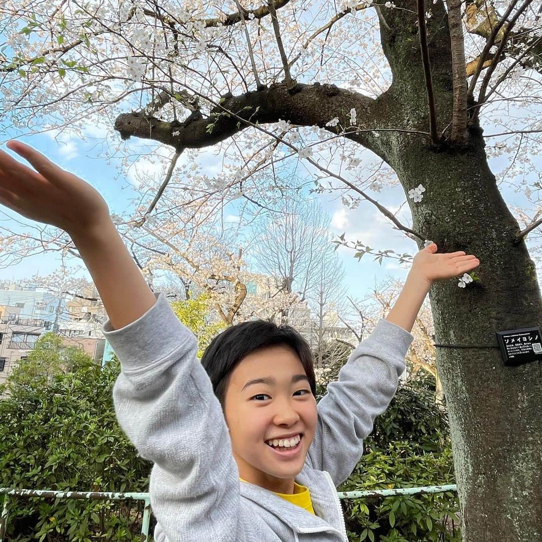 村山輝星のインスタグラム：「きらりとさくら①🌸✨  桜が満開だったので 輝星とチラッと見てきました👀  満開の木の下で📸 落ちてた桜も拾って📸  実は4、5枚目 ジャンプしてるんです😆  #村山輝星 #劇団東俳 #Tプロジェクト #子役 #さくら #桜」