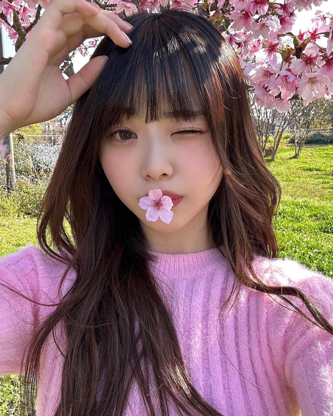 麻生果恩のインスタグラム：「🇯🇵SAKURA🌸」
