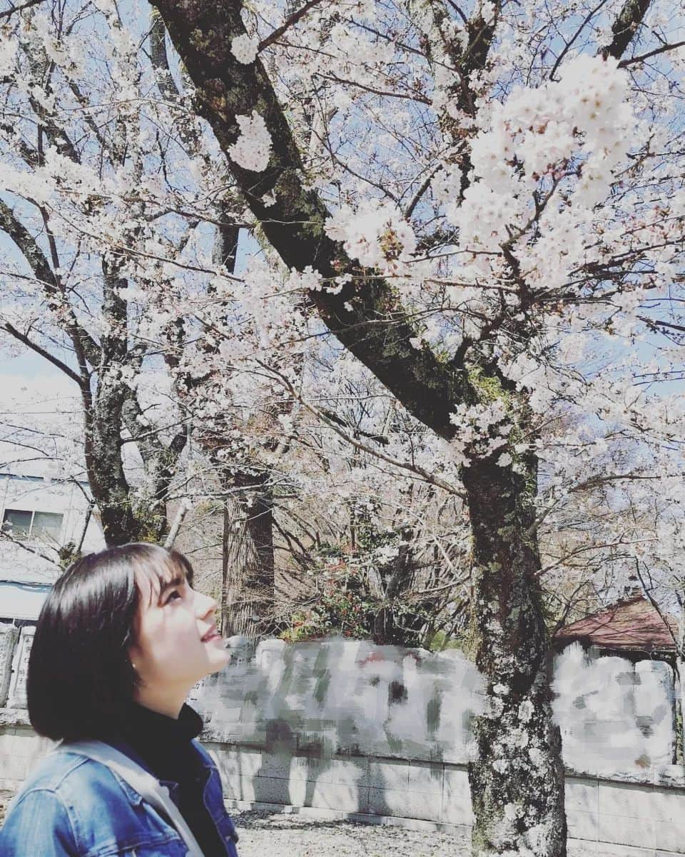 田幡妃菜さんのインスタグラム写真 - (田幡妃菜Instagram)「最近はお天気が良く春を感じますね〜🌸⁡⁡ ⁡お花見とかピクニックしたいなぁ🤭」3月22日 21時38分 - tabatahina_official