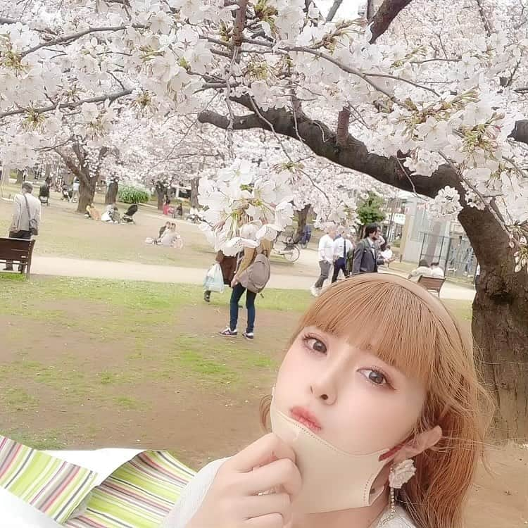 小林弥生のインスタグラム：「🫧 桜もふもふでした🌸.* かわいいだったよーっ♡⃛  雨が続くみたいだから さくら終わっちゃうのかな😢 好きやから寂しい、、  #さくら #桜 #錦糸町 #ハイトーンカラー  #カチューシャ #春コーデ #メイク #ピンクメイク  #ハンドメイドアクセサリー」