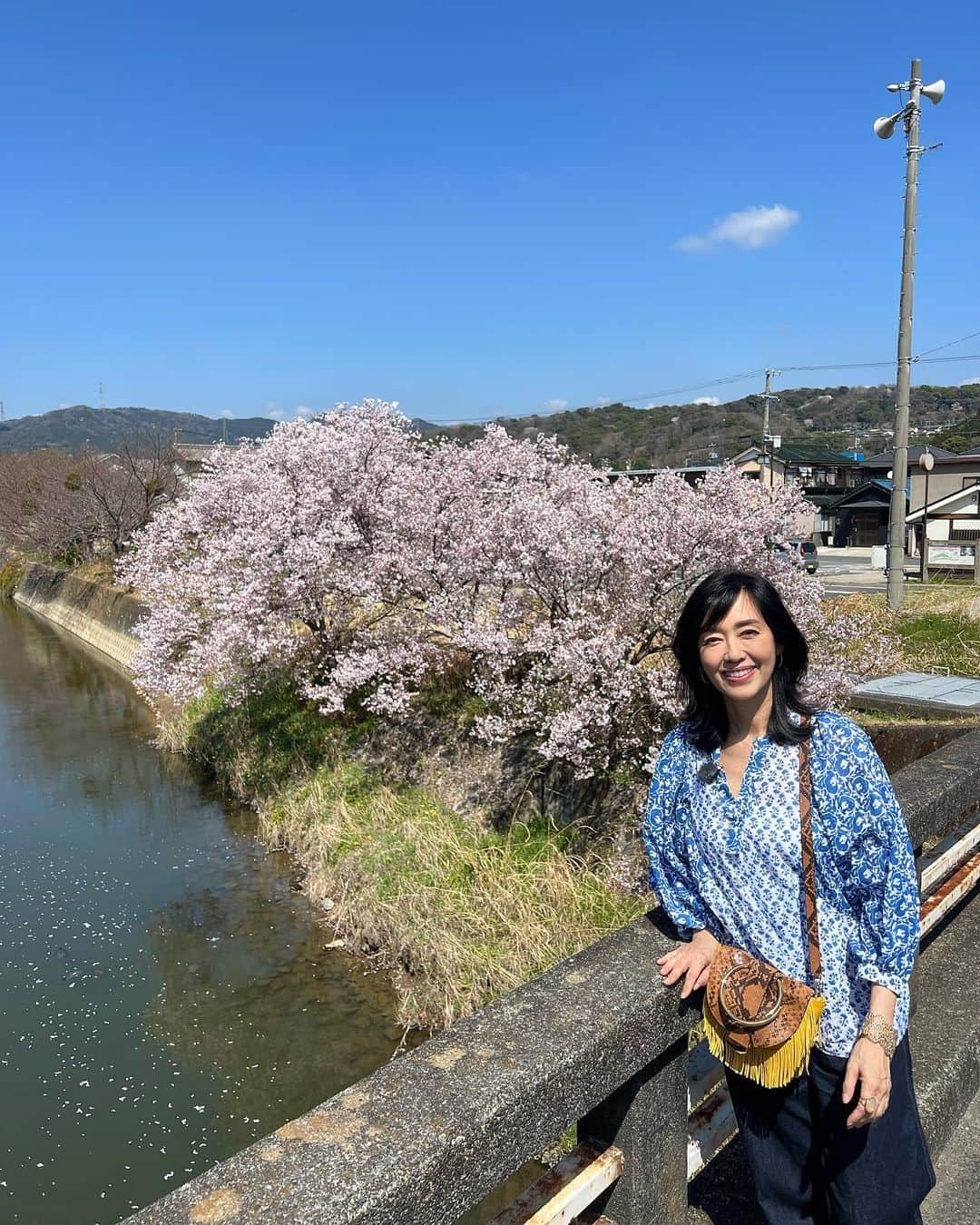 早見優さんのインスタグラム写真 - (早見優Instagram)「Sakura season in Japan!! お花見、しました？  #sakura #桜  #cherryblossom  #花見スポット」3月22日 21時47分 - yuyuhayami