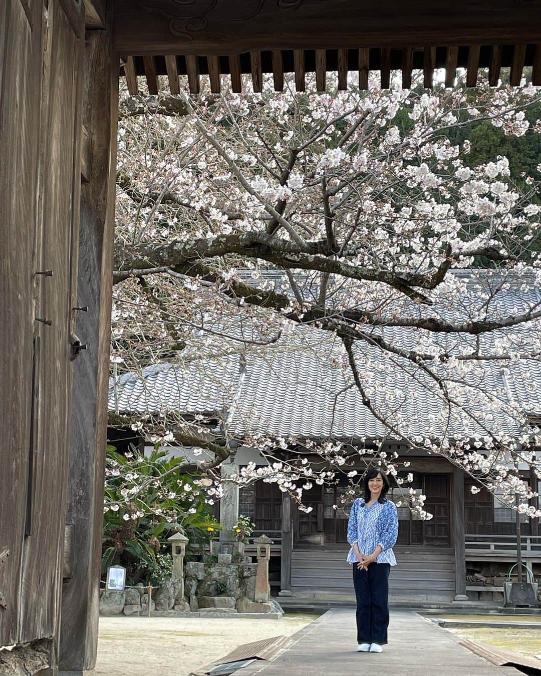 早見優さんのインスタグラム写真 - (早見優Instagram)「Sakura season in Japan!! お花見、しました？  #sakura #桜  #cherryblossom  #花見スポット」3月22日 21時47分 - yuyuhayami