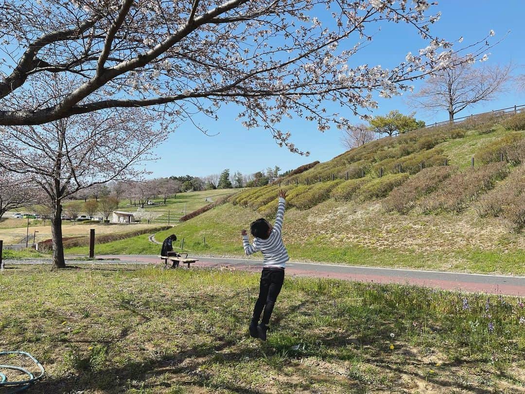 本田朋子さんのインスタグラム写真 - (本田朋子Instagram)「侍ジャパンに歓喜した今朝。 世界一の瞬間を見届けた息子。 『大谷翔平選手のインタビーまだかなぁ』と、覚えたての〝インタビュー〟という言葉をインタビーと言い間違えながら、テレビに釘付けになっていました。  そして、そのあとは春休み中の息子をおもてなしすべく、車を走らせて公園へ。笑 半袖でも良かったくらい、強い日差しが降り注いでいました。 汗びっしょりになるまで遊んだ息子を見て、今日の任務を果たしたぞ！と、小さな達成感を感じた母でした。  春休みはまだ始まったばかり。 これから、毎日どんなおもてなしをしたら良いかしら…笑 世のパパさん、ママさん。ともに頑張りましょ♡  #WBC #侍ジャパン #世界一おめでとうございます #4歳 #男の子ママ #春休みのおもてなし」3月22日 21時55分 - tomoko_honda_official_phonics
