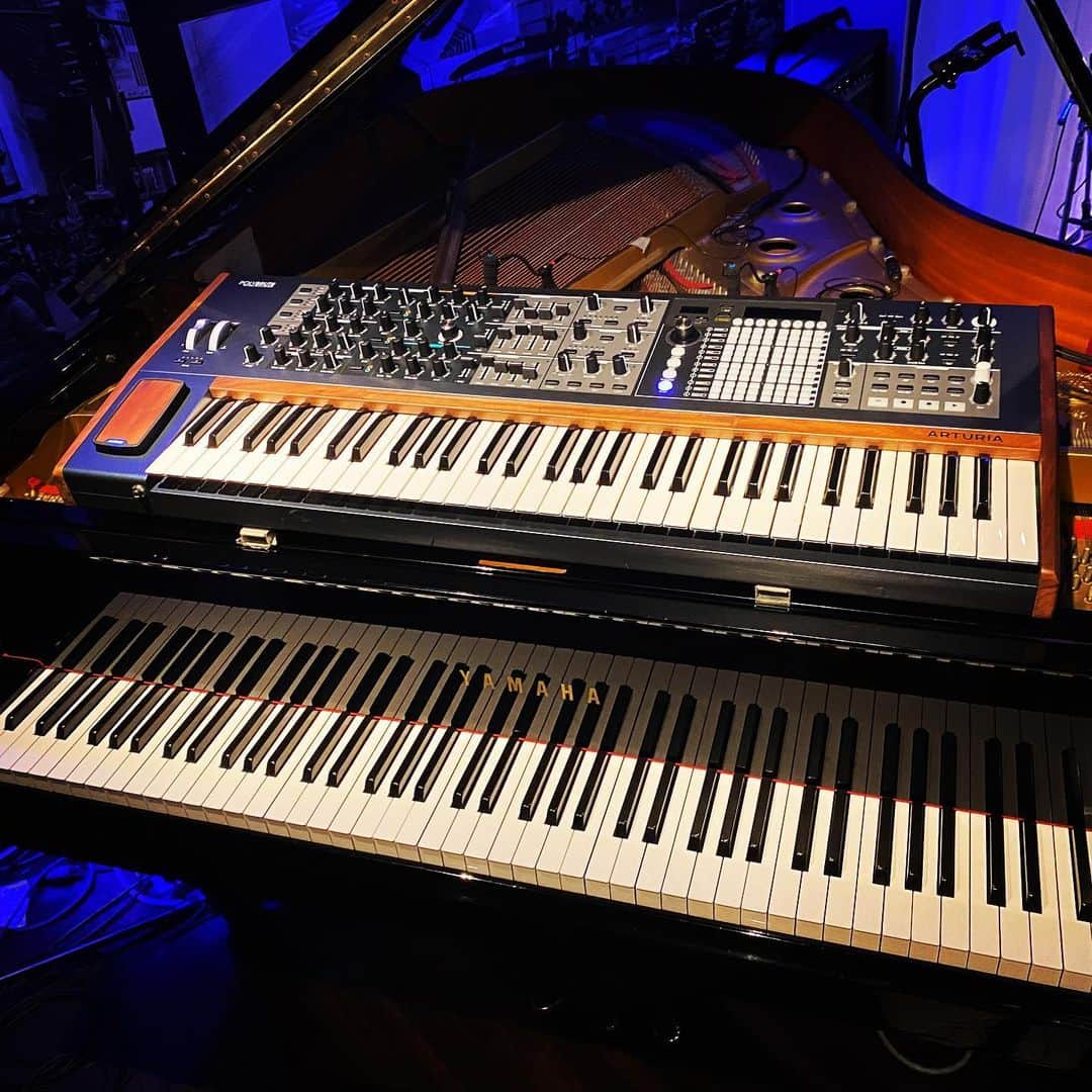 ただすけのインスタグラム：「今日の相棒はこちら。 #artulia #polybrute シンセとしてはモーフィングも含めて最高なんですが、鍵盤幅がオクターブで16.3cmとちょい短く、ピアノと行ったり来たりするのには弾きづらく…ふむー。」