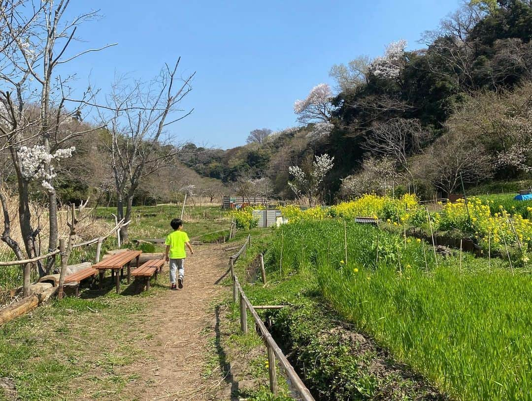 蒲生麻由さんのインスタグラム写真 - (蒲生麻由Instagram)「ハイキング日和🌸 明日から天気が悪そうなので、今日のうちに日光浴🌼 (1枚目の写真は息子が撮ってくれました📸)  夏は蛍鑑賞もできるこの緑地。 近所にこんな場所があるなんて… 子供達にとっては最高です🌷 改めて良いところに引っ越したなぁと実感^_^  さて、さて。明日から雨の中、 どうやって春休みをすごそうか…💦  #mamalife #海辺の暮らし  #山もあるよ #自然豊かな場所 #自然と共に暮らす  #近所にこんなところが  #移住して良かった  #育児環境最高」3月22日 13時59分 - mayugamo_lamana