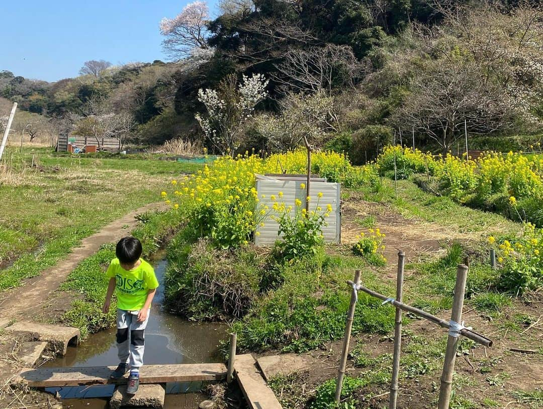 蒲生麻由さんのインスタグラム写真 - (蒲生麻由Instagram)「ハイキング日和🌸 明日から天気が悪そうなので、今日のうちに日光浴🌼 (1枚目の写真は息子が撮ってくれました📸)  夏は蛍鑑賞もできるこの緑地。 近所にこんな場所があるなんて… 子供達にとっては最高です🌷 改めて良いところに引っ越したなぁと実感^_^  さて、さて。明日から雨の中、 どうやって春休みをすごそうか…💦  #mamalife #海辺の暮らし  #山もあるよ #自然豊かな場所 #自然と共に暮らす  #近所にこんなところが  #移住して良かった  #育児環境最高」3月22日 13時59分 - mayugamo_lamana