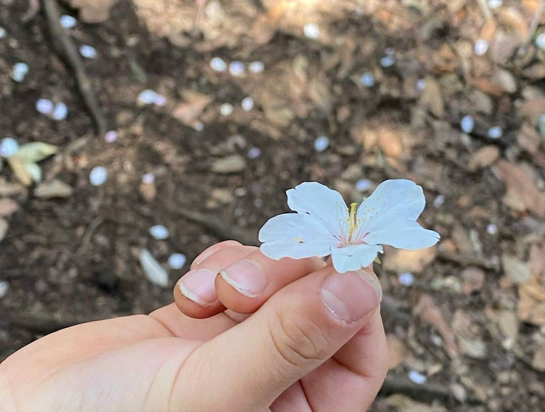 蒲生麻由さんのインスタグラム写真 - (蒲生麻由Instagram)「ハイキング日和🌸 明日から天気が悪そうなので、今日のうちに日光浴🌼 (1枚目の写真は息子が撮ってくれました📸)  夏は蛍鑑賞もできるこの緑地。 近所にこんな場所があるなんて… 子供達にとっては最高です🌷 改めて良いところに引っ越したなぁと実感^_^  さて、さて。明日から雨の中、 どうやって春休みをすごそうか…💦  #mamalife #海辺の暮らし  #山もあるよ #自然豊かな場所 #自然と共に暮らす  #近所にこんなところが  #移住して良かった  #育児環境最高」3月22日 13時59分 - mayugamo_lamana