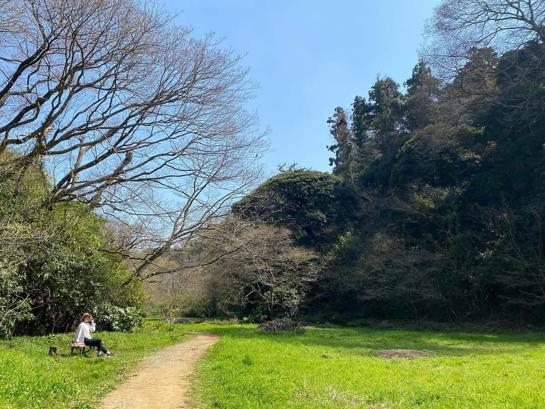 蒲生麻由のインスタグラム：「ハイキング日和🌸 明日から天気が悪そうなので、今日のうちに日光浴🌼 (1枚目の写真は息子が撮ってくれました📸)  夏は蛍鑑賞もできるこの緑地。 近所にこんな場所があるなんて… 子供達にとっては最高です🌷 改めて良いところに引っ越したなぁと実感^_^  さて、さて。明日から雨の中、 どうやって春休みをすごそうか…💦  #mamalife #海辺の暮らし  #山もあるよ #自然豊かな場所 #自然と共に暮らす  #近所にこんなところが  #移住して良かった  #育児環境最高」