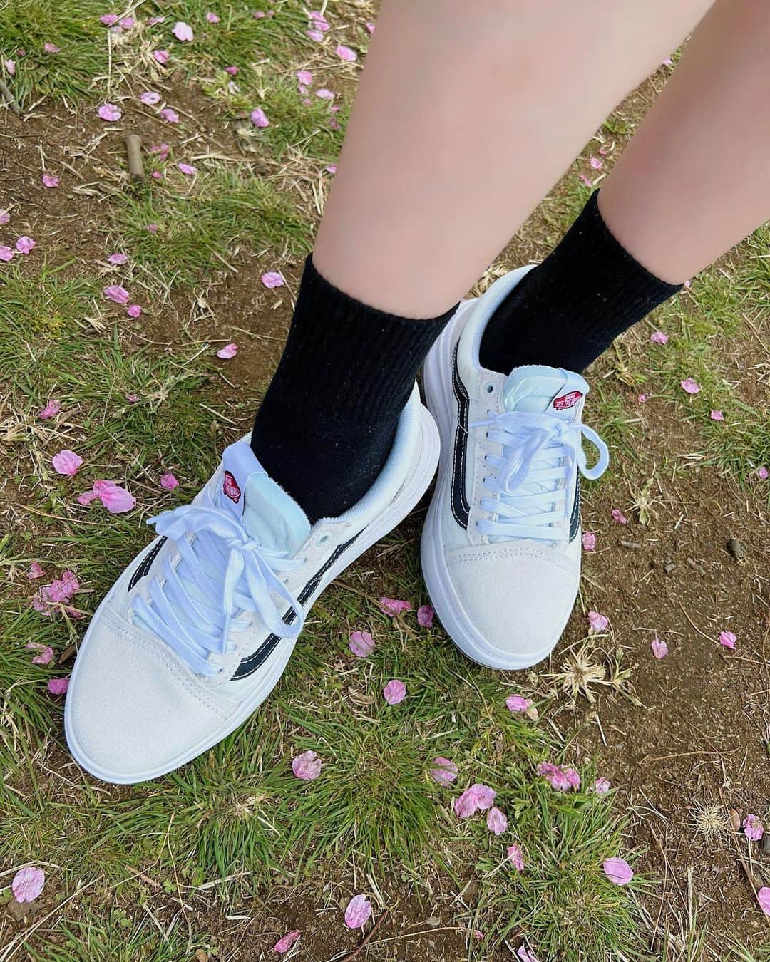 神志那結衣さんのインスタグラム写真 - (神志那結衣Instagram)「new shoesおろした👟🤍🌸  @vansjapan  #vans #new #shoes #靴　#シューズ」3月22日 14時37分 - jiina27