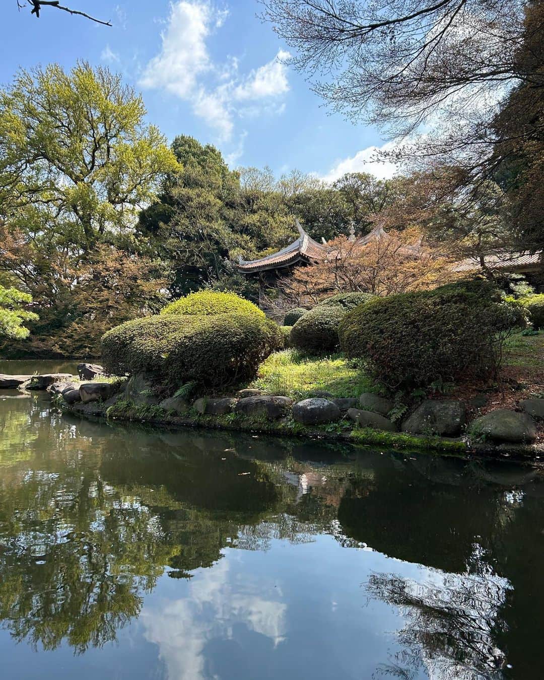 ニール・ブラウンさんのインスタグラム写真 - (ニール・ブラウンInstagram)「Beautiful morning stroll in #shinjukugyoen parc with the 🍒 🌸 and the ☀️  Japan 🇯🇵 is awesome!   #morningstroll #nationalgarden #japan #beauty #nature #instamood #instamoment #sunshine #landscape #cityscape #traveller」3月22日 15時00分 - neil_brown