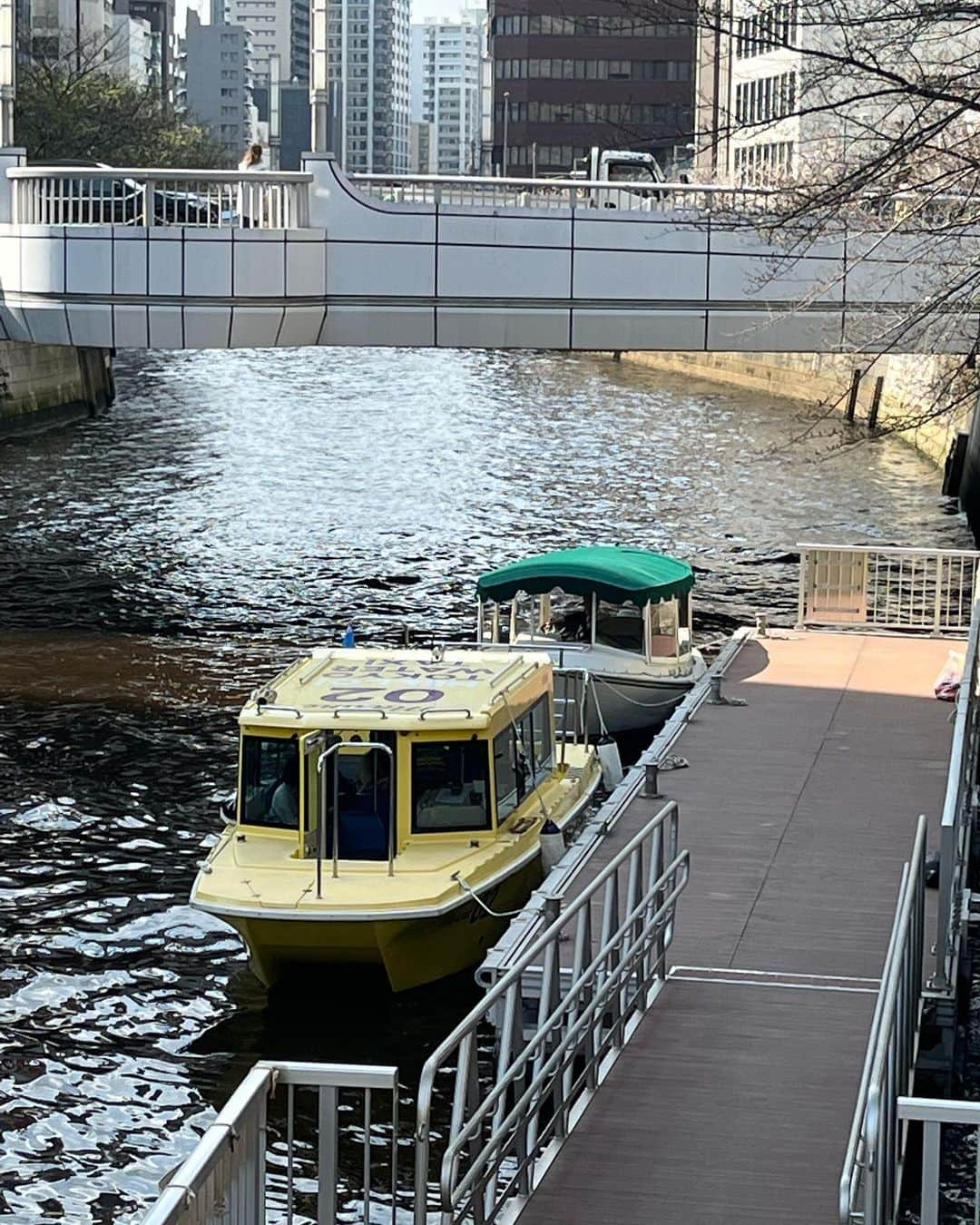 TOKYO WATER TAXIさんのインスタグラム写真 - (TOKYO WATER TAXIInstagram)「青空が広がる🌸目黒川からレポートします。  WBCは日本🇯🇵が優勝🏆 優勝が決まった瞬間、五反田の街や船の上から歓声が聞こえました^_^！  写真は目黒川プチクルーズ 乗り合い便の1コマ。  新人スタッフが お客様から温かな言葉でお褒めをいただき、 とても嬉しそう^_^ ありがとうございました。  記念撮影✨😊をして お見送りいたしました。  目黒川は平均して4分咲き。 陽当たりの良い場所は満開の桜の木もあるので🌸 停船してお花見を楽しんでいただけます。  空き状況のお問い合わせ ご予約は03-6673-2528まで。  #watertaxi  #tokyowatertaxi  #ドッグフレンドリー #ペット可 #目黒川 #桜 #お花見スポット #桜名所 #お花見 #チャーター #乗り合い #五反田桟橋 #品川区 #千本桜」3月22日 15時05分 - tokyowatertaxi