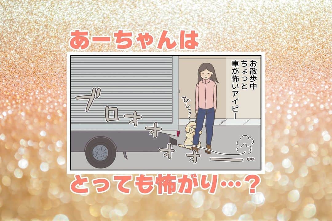 餅付きなこのインスタグラム：「お散歩デビューした当初は車が怖くって、なれるまでに結構時間がかかったアイビー。  そんな怖がり参加と思いきや、多くのわんこが怖りやすい（前に一緒に暮らしてたアーティも苦手でした）道路のグレーチングは平気でして、元気にぴょーんと乗り越えるアイビーを見てその意外性にびっくり！  色んな物に興味があって、わちゃわちゃしながらのいそがしいおしゃんぽですが、毎日楽しくいっぱい歩いています❣  #漫画 #イラスト #犬漫画 #絵日記 #エッセイ漫画 #コミックエッセイ#マンガ #日常漫画 #ゴールデンレトリバー #goldenretriever #ゴールデンレトリーバー #犬と生活 #4コマ漫画 #犬 #dog #dogstagram #instadog #わんこ #ふわもこ部 #いぬ #ilovemydog #いぬのきもち #大型犬 #大型犬のいる生活 #まめとアーティ #餅付きなこ #おさんぽですし！」