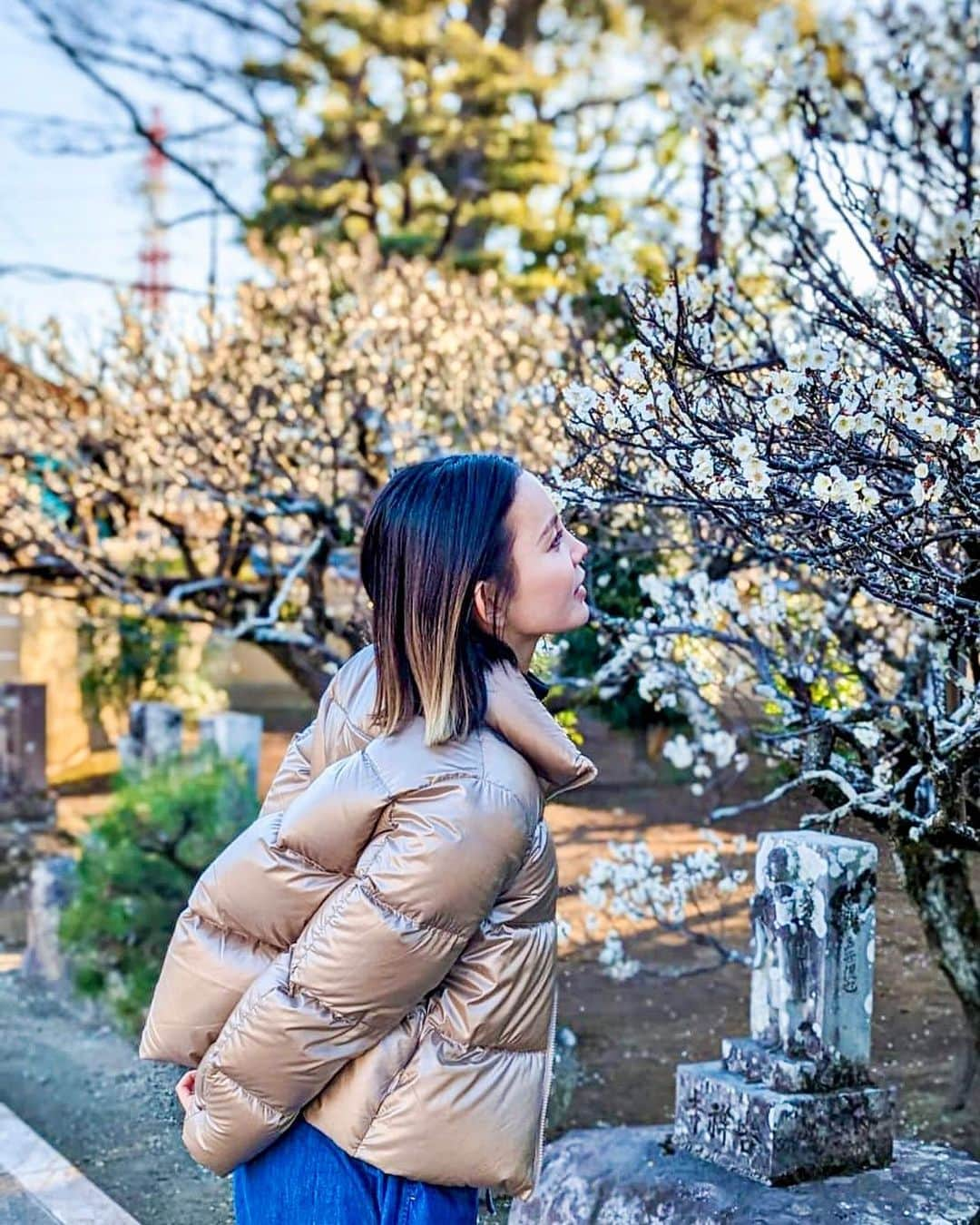 丘咲エミリさんのインスタグラム写真 - (丘咲エミリInstagram)「Spring in Japan🇯🇵🌸☀️☘️  あっ、うちのパクチーは、そろそろ収穫です✂︎  #springinjapan #田舎ぐらし #田舎生活 #植物観察 #odawara #kanagawa_photo_club #観光気分」3月22日 16時21分 - emiri.okazaki_official