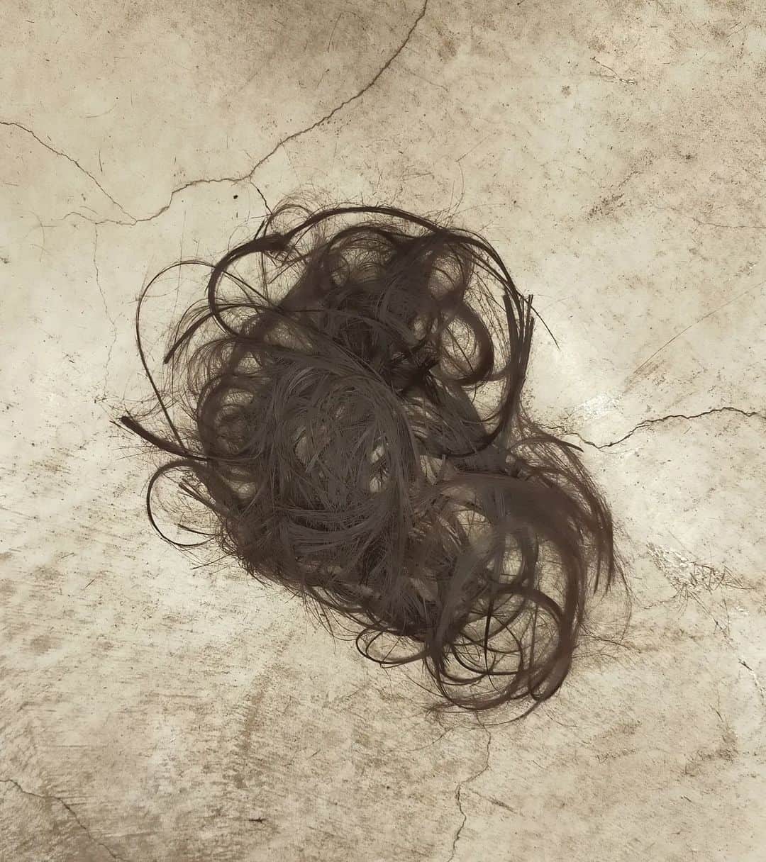寒川綾奈さんのインスタグラム写真 - (寒川綾奈Instagram)「髪の毛20センチくらい切りました✂️ 最高に気に入ってる！！ 何年ぶりかな？？  この髪型で事務所の新しい宣材写真の撮影もしてきました。 めっちゃ素敵なの撮れた気がしてるからデータ見るの楽しみ😌  #ショートカット女子」3月22日 16時57分 - sogawaayana