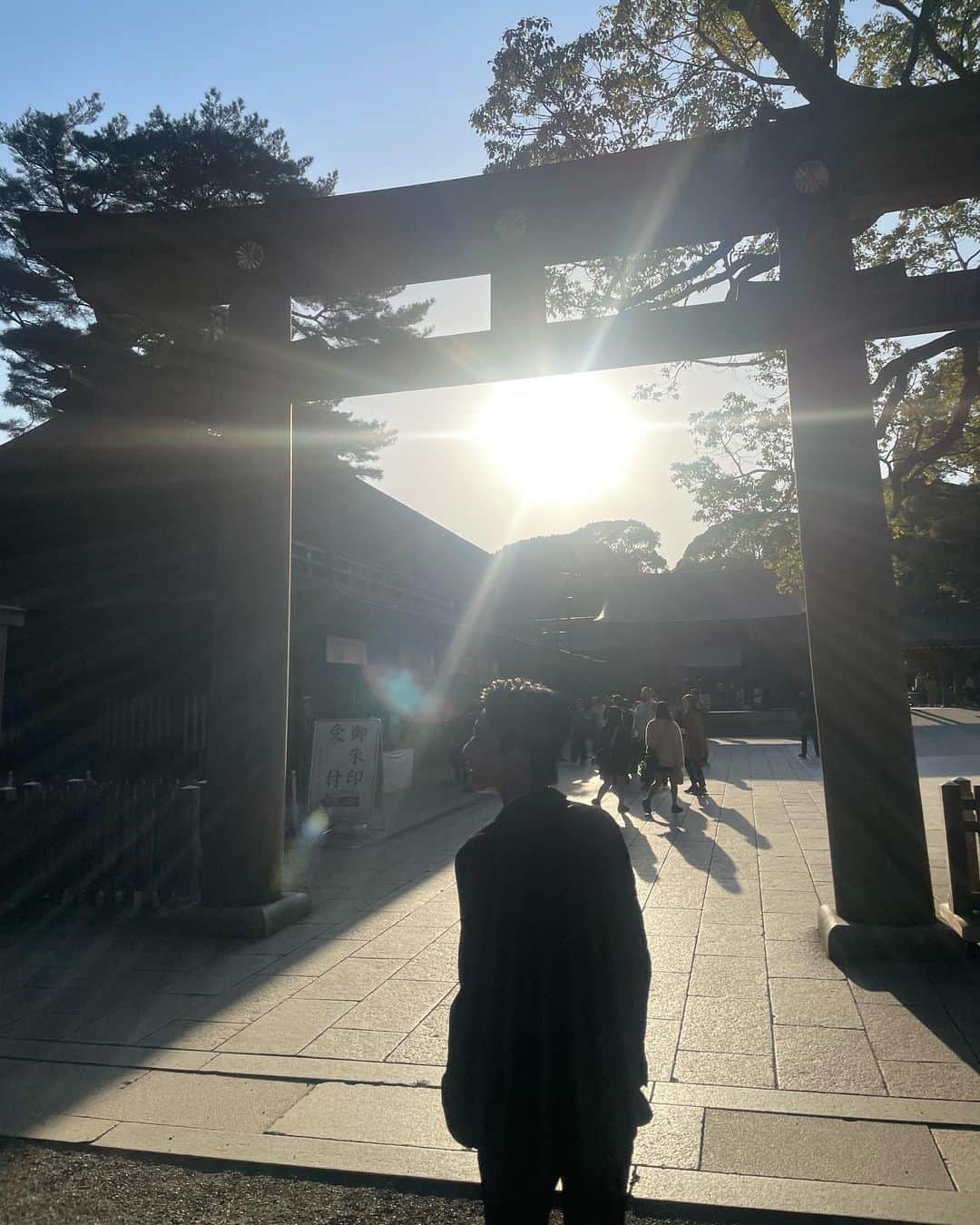 MAHIROのインスタグラム：「上を向いて歩こう🌳」