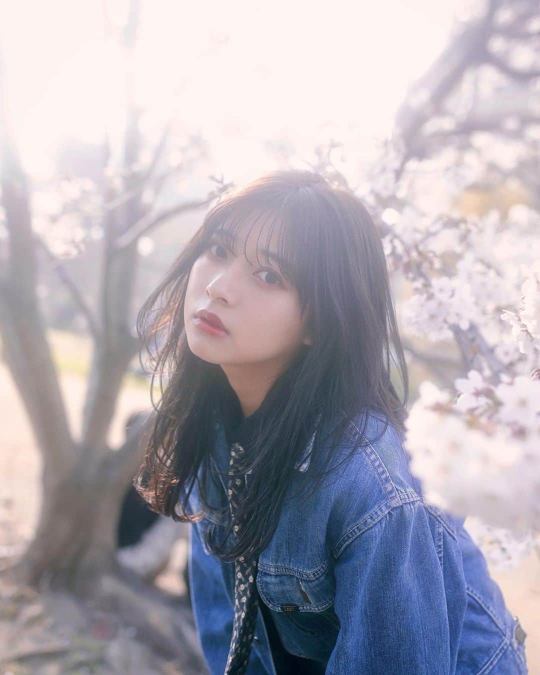千葉祐夕のインスタグラム：「🌸🌸🌸」