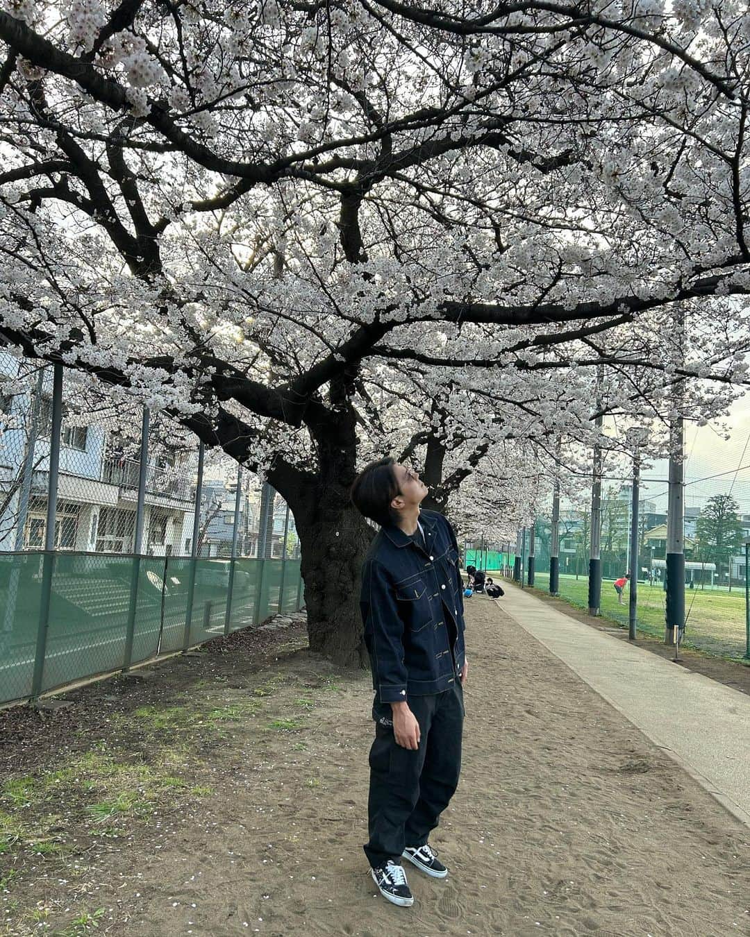 保田賢也さんのインスタグラム写真 - (保田賢也Instagram)「. SAKURA🌸🚶‍♂️🚶🚶‍♂️  最近は早寝早起き、朝活、散歩 生活のリズムがいいと調子も⭕️  #桜 #最近甘党 #来週誕生日 #水曜日多いと思う @h.takizawa_official 🔥🎂」3月22日 17時46分 - kenya_yasuda_