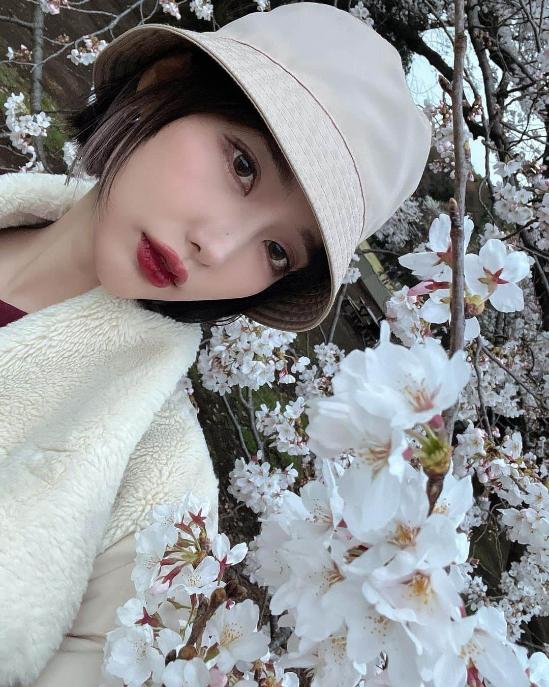 志崎樺音さんのインスタグラム写真 - (志崎樺音Instagram)「・  #桜」3月22日 18時01分 - kshizaki_official