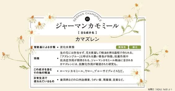 日本アロマ環境協会(AEAJ)さんのインスタグラム写真 - (日本アロマ環境協会(AEAJ)Instagram)「精油の主な成分を知ろう ～ジャーマンカモミール～  ジャーマンカモミール精油の主な成分は「カマズレン」。  生の花には存在せず、花を蒸留して精油を得る過程で作られます。 「アズレンブルー」と呼ばれる濃い青色が特徴。  ほかに「カマズレン」を含む精油としては、ローマンカモミール、ヤロー、ブルーサイプレス、など。  ジャーマンカモミール精油に含まれる「カマズレン」に抗酸化作用が確認されたという研究報告も。 歯周病などの口内治療薬、うがい薬、胃腸薬、目薬などにも使用されてますよ。  精油の成分からも、アロマの活用の幅を広げていきたいですね。  #精油の主な成分を知ろう #ジャーマンカモミール #AEAJ  #aroma #アロマ #アロマテラピー #香りのある生活 #アロマのある生活」3月22日 18時06分 - aromakankyo_aeaj