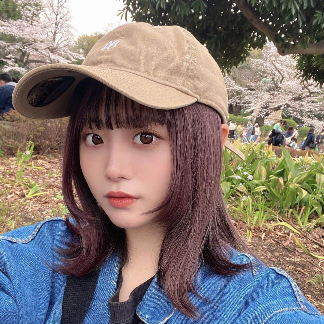 のインスタグラム：「六分咲き🌸25の春を大切に☁️ 一瞬の季節。  #cherryblossom #photo #花見 #japan #follow #selfie #春」