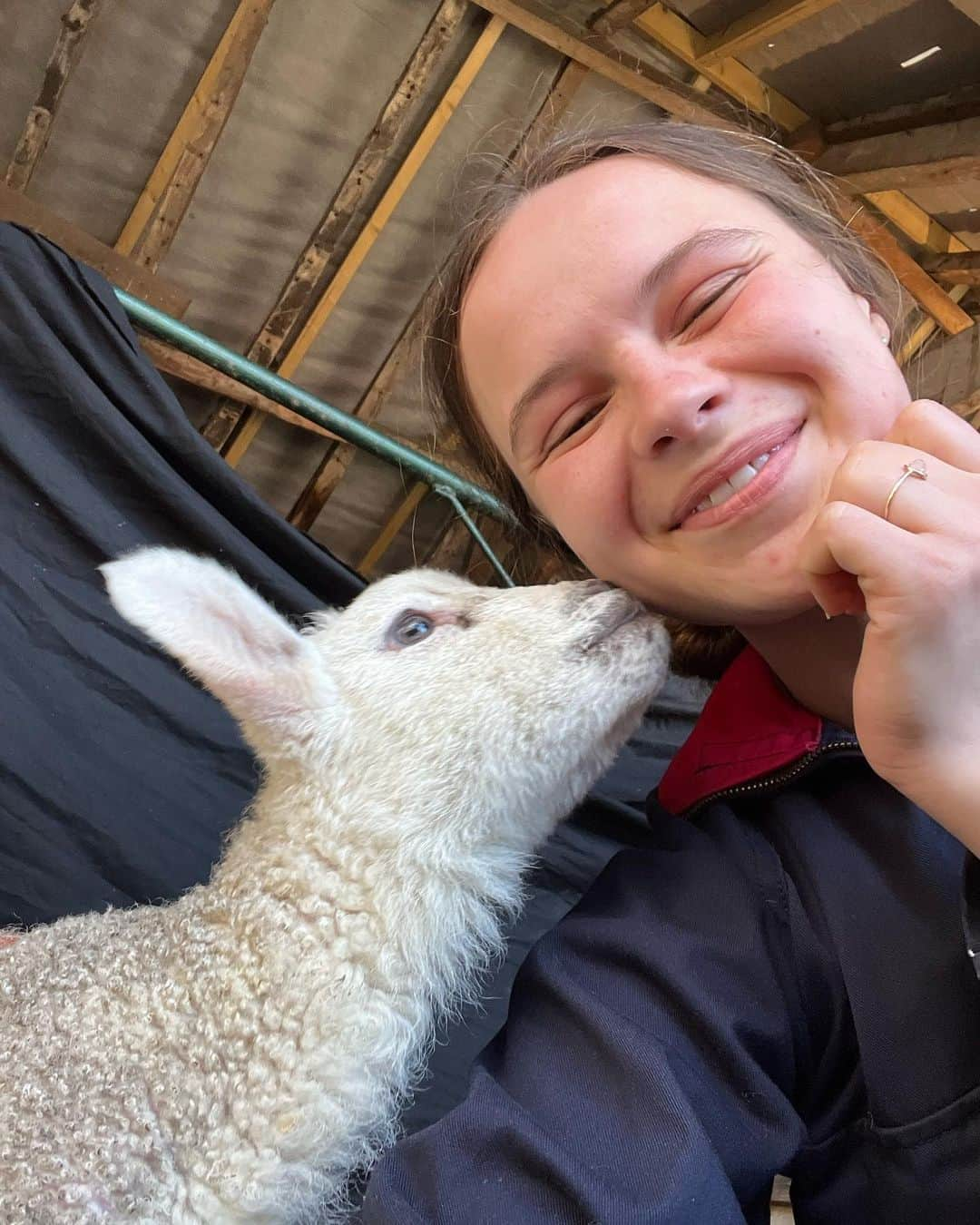 ガブリエル・アプリンのインスタグラム：「Fostering some little sweet baby fluffs for a few weeks 🥰🐑 I love them!!」