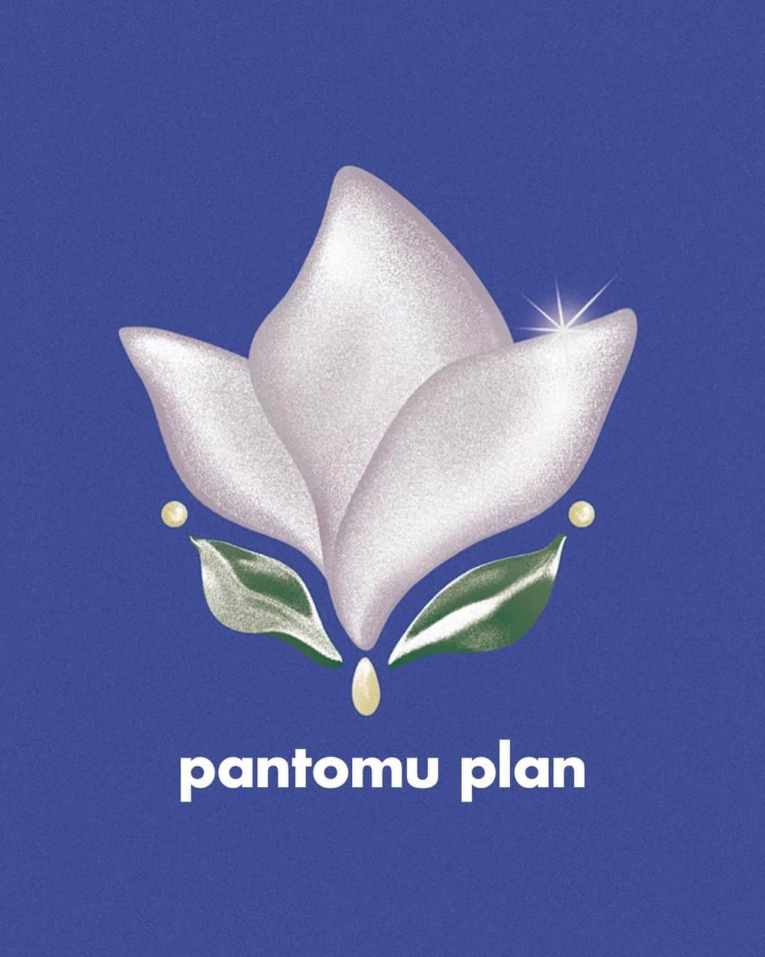 菅沼ゆり（ゆりっぱ）さんのインスタグラム写真 - (菅沼ゆり（ゆりっぱ）Instagram)「(ご報告。長いです。)  新プロジェクトを立ち上げました。  pantomu plan (パントムプラン) と申します🫱🏻‍🫲🏼 @pantomu_plan   【心踊るアイテムを生活の一部に】 をテーマに年齢、時代、好みなどその時の気持ちに正直に、一つ一つストーリーを大事にしながらこだわって制作することを大切にしていきます。  ブランド！というよりは 自分の活動や制作のアイテムの事をpantomu と呼ぶような、服、生活雑貨、アイテム制作だけじゃなくディレクション等.... これから様々なジャンルに挑戦していきたいです。  そんなプロジェクト名は どうしても p から始まりたい願望が強く、 色々理由はあるのだけど、 自分の中でpが濃ゆく染み付いてる音。でもあります。  「その人の思い出になるような。 思い出って形じゃなくて記憶や感情で それって思い出したり消えたり幻みたいなアイテムになったらな〜...... あれ、ファントムってp から始まるじゃん！(ビビッ)」  そのままじゃ直接的だから くだいて日本語読み方で(面白く)パントムにしたい✊🏻  そんな感じで誕生しました🎂 何日間も悩んで考え尽くしたけど紐解くと 理由は意外と単純⚪︎  好きな言葉、大事にしたいことはハッキリしてました  ー  大事な大事なプロジェクトの顔！とも言える モチーフデザインは推しの、 @nicooos_n ちゃんにお願いしました  丸くてつるりとした立体感。 ・ピュア ・THE！カワイイ ・好き〜❤︎ていう気持ちを形に。 描いて頂きほんっとにありがとうございます 家宝です。✨  ー  pantomuの第一弾は生活雑貨【BOX】です  パズルのピースが綺麗にはまるかのように パフっとしまる計算された箱は一つひとつ、 職人さんが手仕事で仕上げてます。 使う人によって収納・インテリア・オブジェになるような “用途に縛られない箱”です。  minty / own / swan ３色展開  内と外の配色、ツヤ、レザー加工のような凹凸 紙の世界めちゃくちゃ広かった....✨  小学生の頃パッケージの資材屋が好きで近所のお店に紙袋だとか、袋だとかなぜか沢山買っていたぐらい パッケージ📦資材凄く好き  だから今回のBOXの紙質や  @yroeht___ さんのご協力の元、制作できた事 個人的には興奮と大変感謝しております🙏🏻  (次へ続く)  (最後の1stサンプル打ち合わせ動画は結婚式終わりに打ち合わせだったので派手)」3月22日 19時30分 - yurippa93