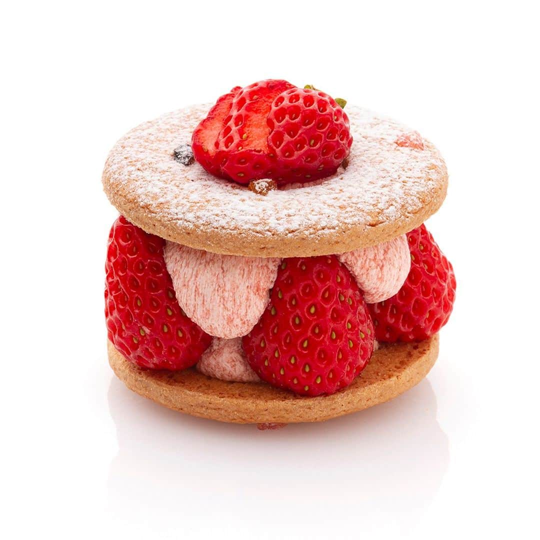 pâtisserie Sadaharu AOKI parisのインスタグラム：「泉屋東京店とのコラボレーションアイテム🍰  『イズミ ア ラ フレーズ』  泉屋東京店の代表 泉氏をイメージしたキュートなケーキ。泉屋のシンボルマークの浮輪をかたどったクッキー“リング ターツ”で甘酸っぱいイチゴのバタークリームとフレッシュのイチゴをサンドしました。リング ターツの優しい味わいとイチゴの甘酸っぱさのコントラストが印象的な逸品です。  【販売店舗】 伊勢丹新宿店本館B1F フードコレクション（食品催事場）「罪深き誘惑…お菓子に埋もれる7日間」  【販売期間】 3月22日（水）～3月28日（火）  【営業時間】 10:00～20:00 ※営業時間は状況により急遽変更になる可能性がございます。  #patisseriesadaharuaokiparis #sadaharuaoki #サダハルアオキ #sadaharuaokiparis #サダハルアオキパリ #泉屋東京店 #泉屋 #IZUMIYA #コラボレーション # コラボ #gâteau #cake #ケーキ #デザート #スイーツ #ティータイム #伊勢丹新宿店 #isetan」