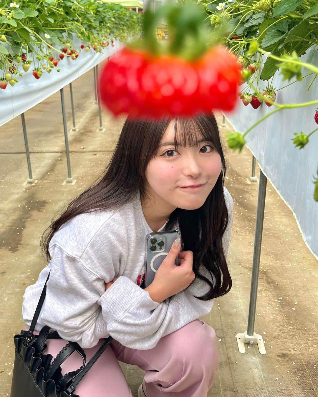 竹内花さんのインスタグラム写真 - (竹内花Instagram)「いちご〜！かわいい？🍓  今日は本当にすごい日になりましたね！！ 世界一の瞬間を目撃できて感動です…！ 祝日になっちゃうんじゃ？！となってます🤭笑  正直野球に詳しいわけではなかったのですが、この機にすごく興味が湧いてしまって…！ミーハー心が騒いでます！！  侍ジャパン！ありがとう！！ そして、おめでとうございます🏆  #いちご狩り #いちご狩り🍓 #いちご #wbc #wbc2023 #侍ジャパン #侍japan #日本優勝 #グラビア #グラビアモデル #グラビアアイドル #gravure #gravureidol #ストレートヘア #ｇカップ #gカップグラドル #オフショット #オフショット祭り」3月22日 20時00分 - hanadanya_