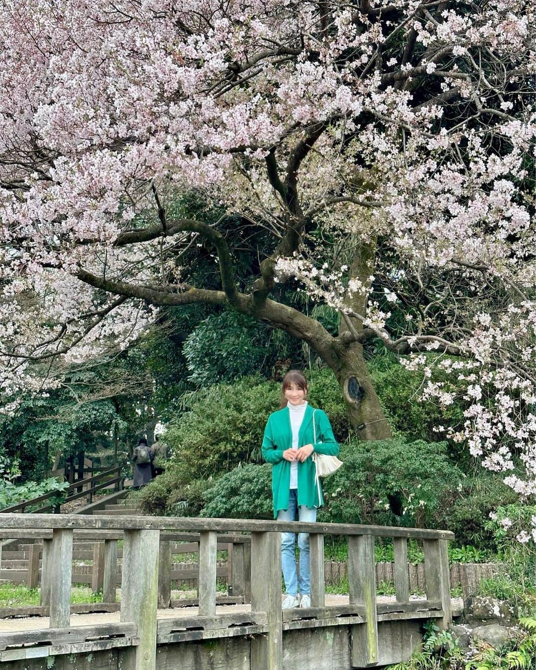 山田佳子さんのインスタグラム写真 - (山田佳子Instagram)「昨日、いいお天気だったのて、桜を見に行ってきました🌸きれいな桜にとっても癒されました…🥰 ⁡ ⁡  #きれいな #桜 #癒されました #春の訪れ #ソメイヨシノ🌸  #桜の名所巡り #お花見スポット  #春の風景  #新宿御苑」3月22日 20時02分 - yoshiko117