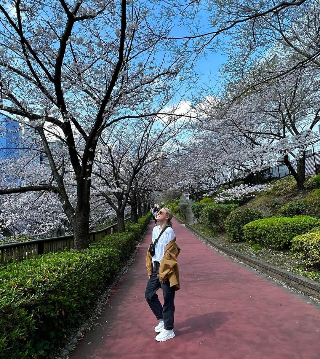 パイパー・ギレスさんのインスタグラム写真 - (パイパー・ギレスInstagram)「Japan exploring #1 A series 🇯🇵✌🏻  - - - - #sakura #sakura🌸 #tokyo #explorejapan #explorepage #travel #figureskating #worldfigureskatingchampionships2023」3月22日 20時05分 - pipergilles