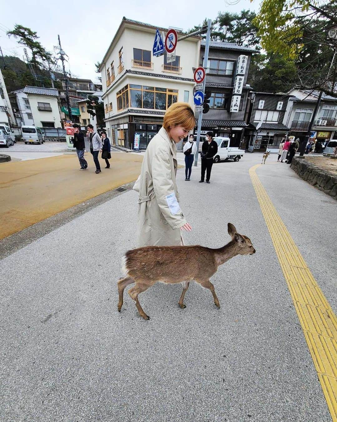 潮みかのインスタグラム：「🦌🐇⛩  広島旅2日目は うさぎ島→宮島→平和記念公園 というハードモードでした笑笑 25000歩歩きました🚶‍♀️🚶‍♀️🚶‍♀️🦌🐇  動画もいっぱい撮ったのでまたYouTubeでみてください☺️ （だいぶ先になると思いますがw）  #広島 #うさぎ島 #日本地図から消された島 #大久野島 #うさぎ #宮島 #厳島神社 #鹿 #平和記念公園 #原爆ドーム #社会見学」