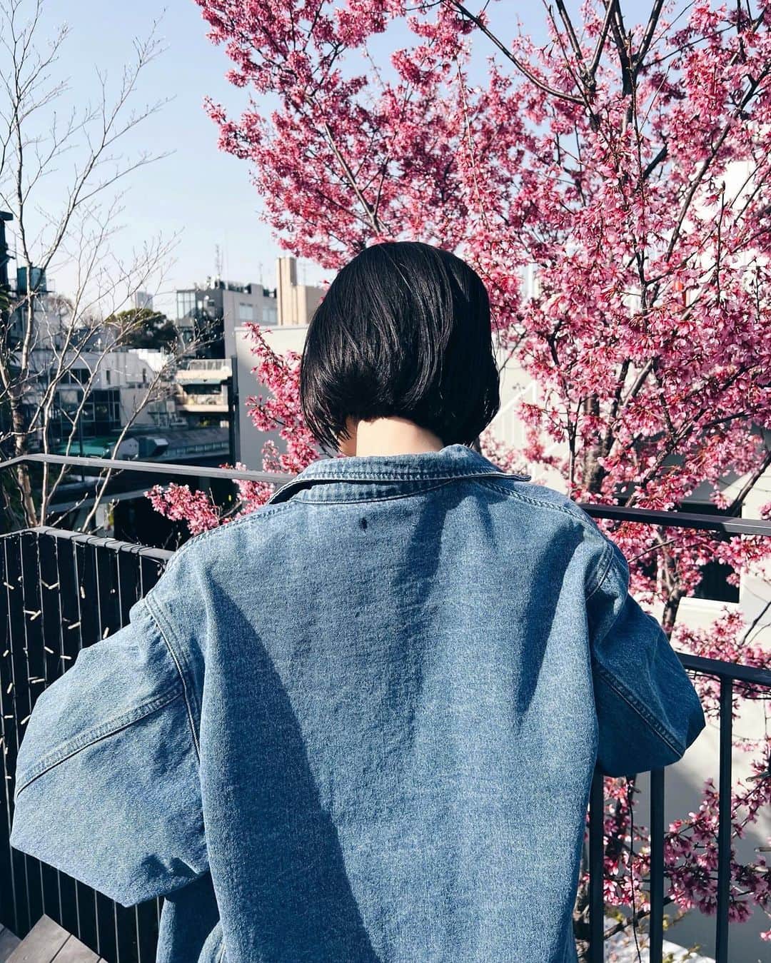 ALISA MATSUMURAさんのインスタグラム写真 - (ALISA MATSUMURAInstagram)「Style:) keep it simple…😎 . denim× converse👖👟 . 春になると履きたくなる PINKconverse🌸 Pちゃんとconverse被った日🙌 . 髪の毛カット✂︎ やっぱりギリ縛れない 長さに戻した😀👍 この長さがすき✨ @bebeaki 👏 . C/D📸　@sowelu_ 🫶🏻 . #denim#デニム#コンバース#converse#スニーカー#ハイカットスニーカー#ヘアカット#ショートボブ#ボブヘア#デニムオンデニム#ZARA#SLY#す」3月22日 20時34分 - alisa_raw
