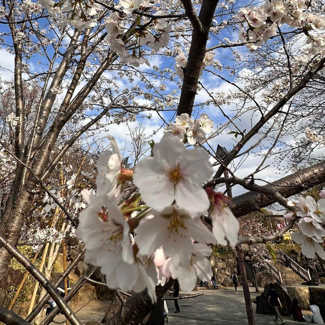 高島礼子さんのインスタグラム写真 - (高島礼子Instagram)「北区の飛鳥山の花見🌸 うっとり🌸癒されました🌸  #花見  #飛鳥山公園  #癒される  #桜」3月22日 20時42分 - reico.official