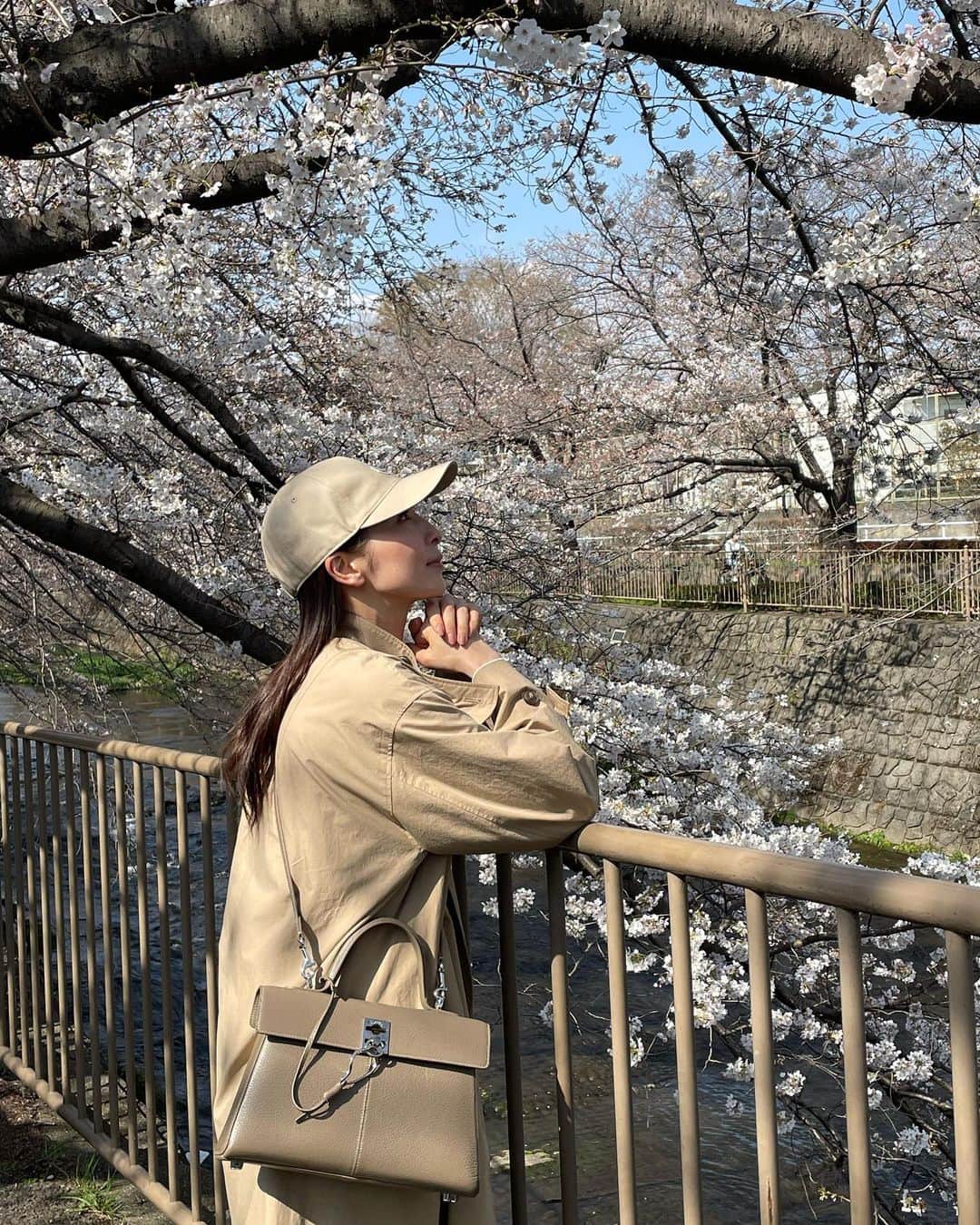 真飛聖さんのインスタグラム写真 - (真飛聖Instagram)「お花見🌸  おもちとお花見🐶🌸  お花見 ワントーンコーデ✨  可愛くて、かたちも 色も 大きさも ちょうど良くて、 めちゃくちゃ使いやすい @cafune.official のカバン。  スタイリストの田村さんが持ってきてくれた衣装が 可愛すぎて、買い取りさせてもらった @manof_official のコート。  めちゃくちゃ被りやすい @moncler のキャップ。  最近のあたしのヘビロテコーデだなぁ・・・  桜も、もうすぐ満開になりそうですね🌸  そしてそして、 WBC侍ジャパン世界一 本当ーーーーーに おめでとうございます㊗️⚾️👏  興奮しました、鳥肌立ちました、泣きました！！！  感動を・・・本当ーに ありがとうございました！！！ 本当に、本当に、お疲れ様でした！！！  #お花見 #パグ#pu#女の子 #おもち #ワントーンコーデ #ヘビロテコーデ」3月22日 21時01分 - sei_matobu