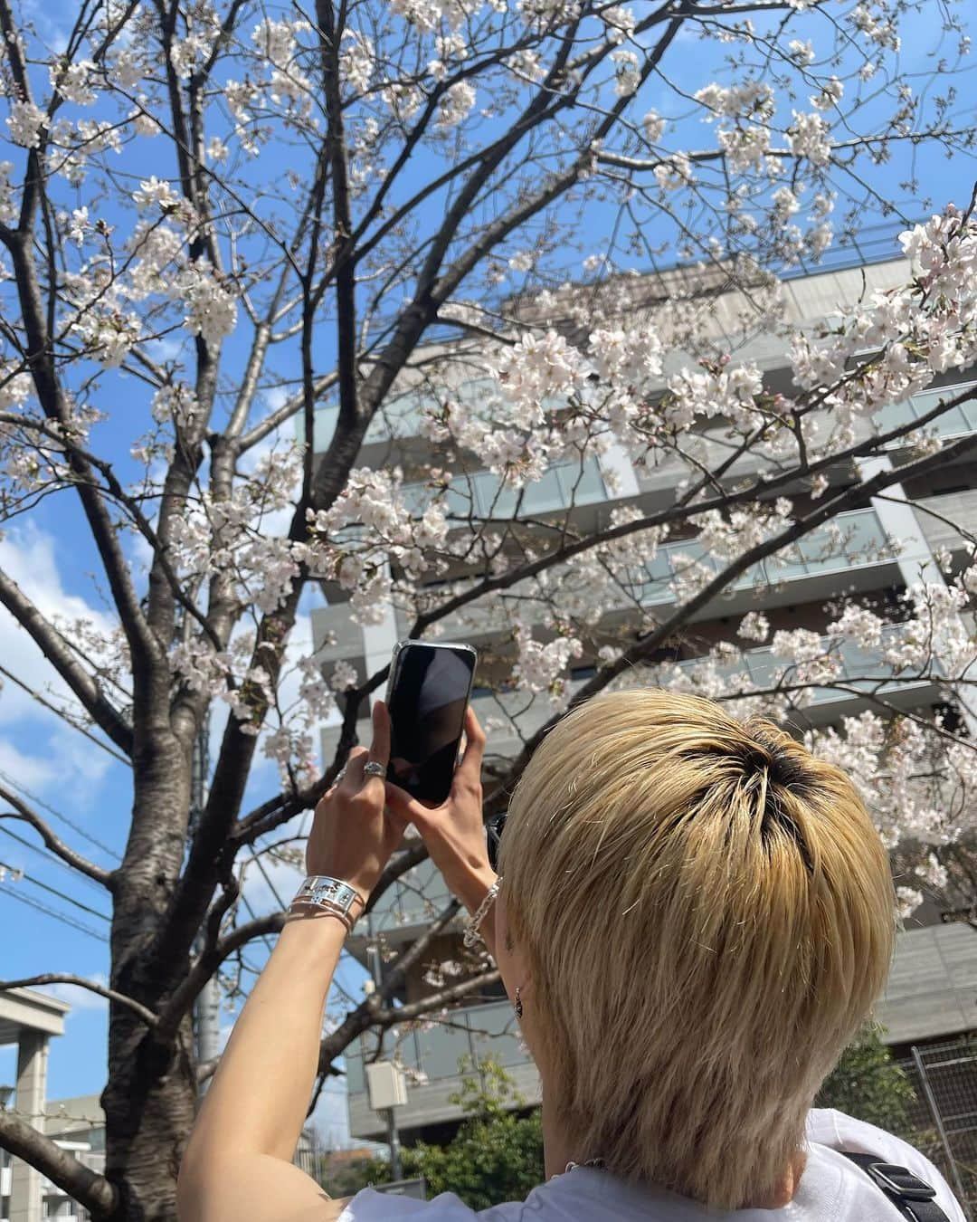 FUMIYAさんのインスタグラム写真 - (FUMIYAInstagram)「🌸🌸🌸  せいやくんかわちい🎮  #BUDDiiS  #果たしてこれは #桜  #なのか ？ #いつの日かの #逆ショット 📸」3月22日 21時11分 - 10_fumiya.official_03